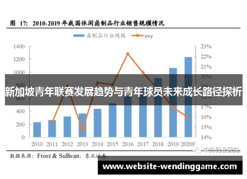 新加坡青年联赛发展趋势与青年球员未来成长路径探析