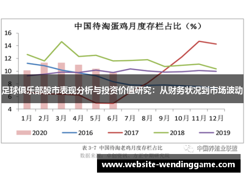 足球俱乐部股市表现分析与投资价值研究：从财务状况到市场波动