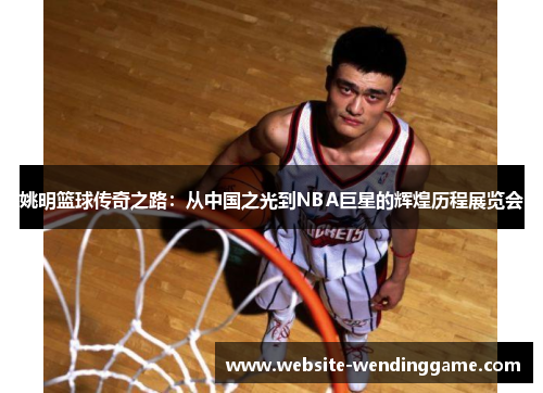 姚明篮球传奇之路：从中国之光到NBA巨星的辉煌历程展览会