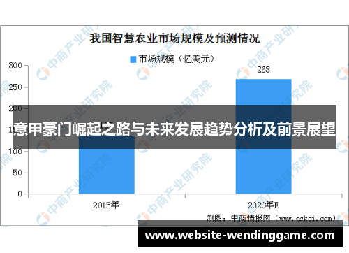 意甲豪门崛起之路与未来发展趋势分析及前景展望