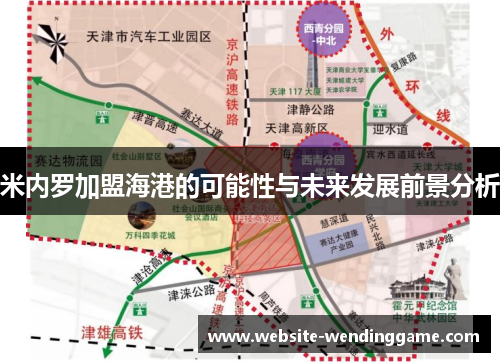 米内罗加盟海港的可能性与未来发展前景分析