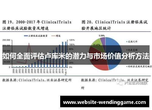如何全面评估卢库米的潜力与市场价值分析方法