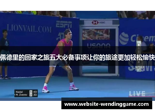 佩德里的回家之旅五大必备事项让你的旅途更加轻松愉快
